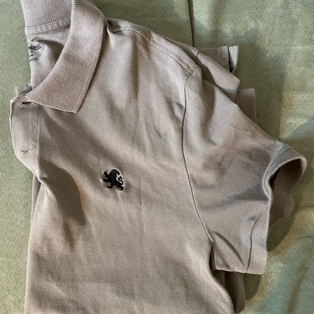 Express Olive Green Polo